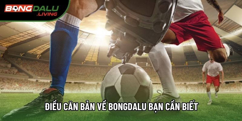 Điều căn bản về bongdalu bạn cần biết Điều căn bản về bongdalu bạn cần biết